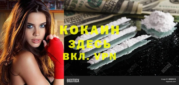 дживик Алзамай