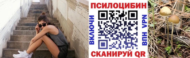 Псилоцибиновые грибы Psilocybine cubensis  как найти наркотики  Орехово-Зуево 